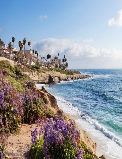 Pure Water Filtration Services in La Jolla, CA | San Diego
- La%20Jolla%2C%20CA%201
